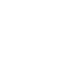 Ledger